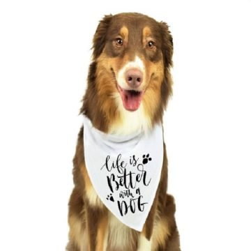 Cotton Neck Adjustable Dog Bandana