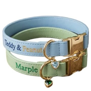 Elegant Custom Pet Collar with Heart Charm