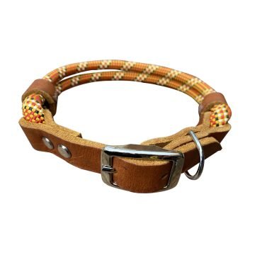 Fashionable Pet Collars for Every Dog