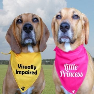 Funny & Personalized Dog Bandanas