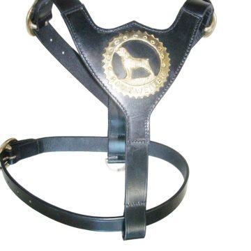 Heavy-duty Adjustable Leather Dog Harness