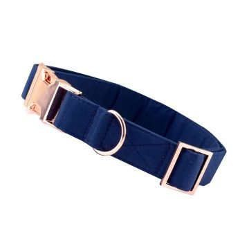 Indigo Blue Velvet Soft Padding Dog Collar