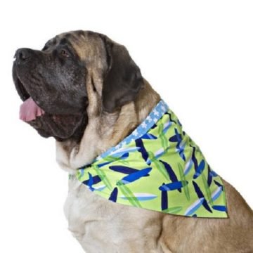 Large Breeds Printed Dual Dog Bandana