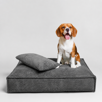 Modern Plush Dog Couch Bed
