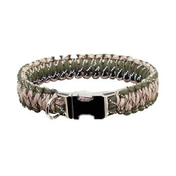 Paracode Personalized Metal Buckl Dog Collar