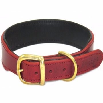 Personalized Heavy Duty Large Dog Collar