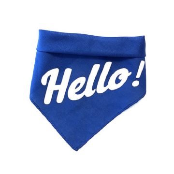 Personalized Printed Silk Dog Bandana