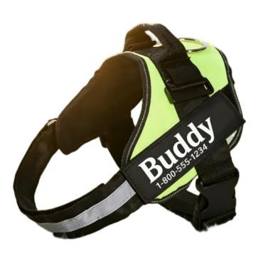 Personalized Safety Dog Harness with Reflective
