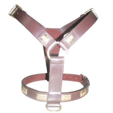 Premium Neck Adjustable Leather Dog Harness