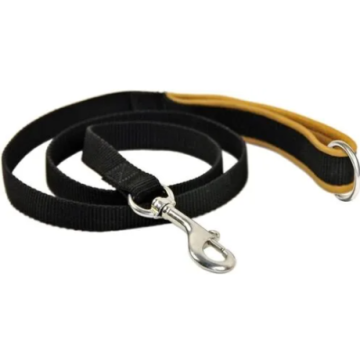 Premium Nylon Dog Leash with Soft Padded Handle