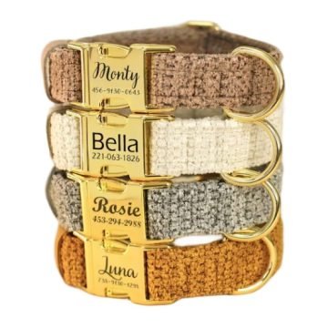 Soft Padded Personalized Dog Collar Collection