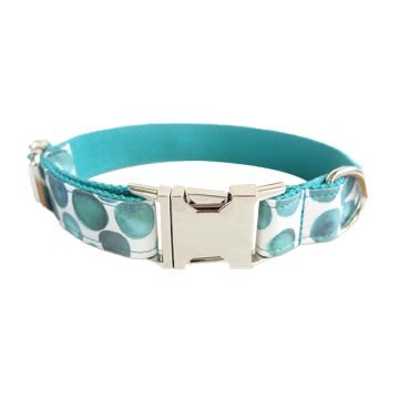 Trendy & Comfortable Dog Collars Online